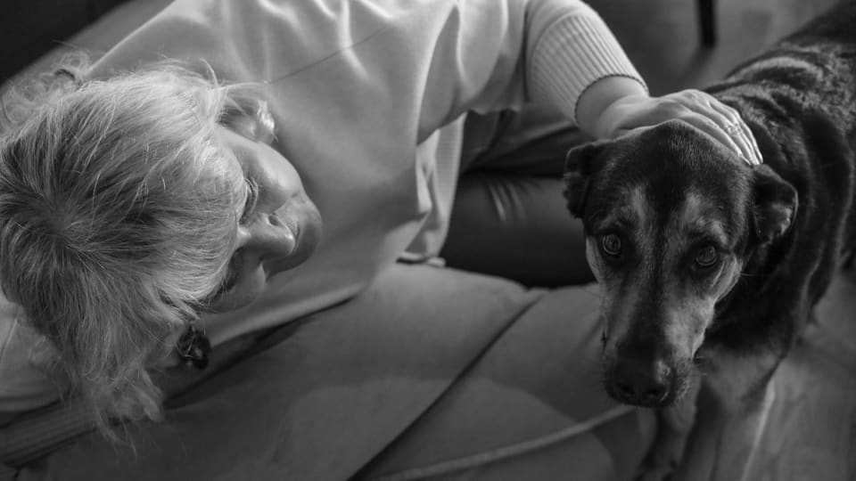 Primo piano dello sguardo di un cane accanto al suo proprietario